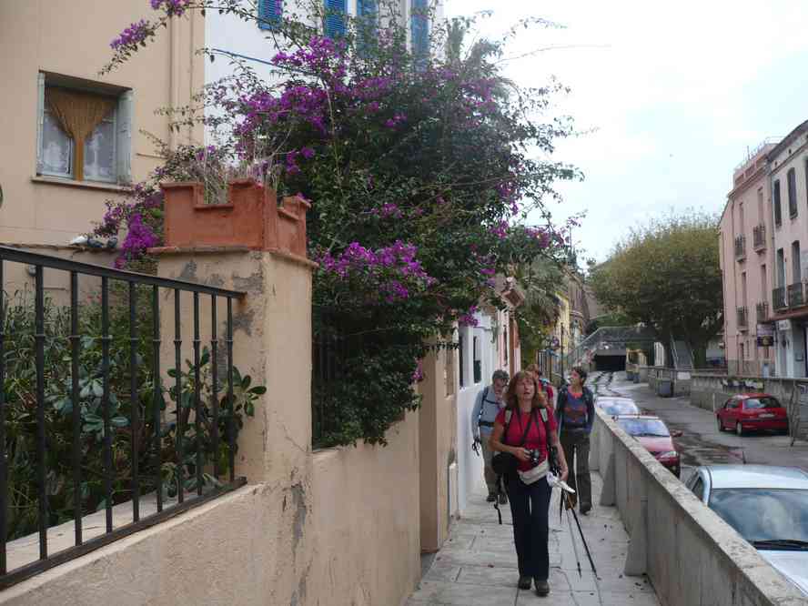 Cerbère. Le lundi 31 octobre 2011
