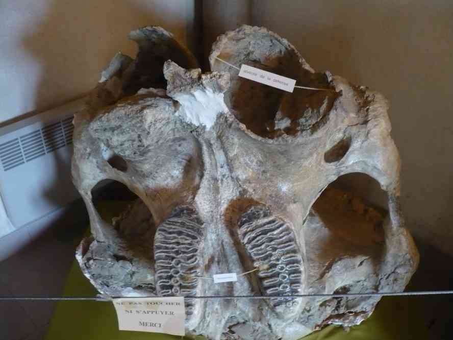 Musée de Chilhac. Le vendredi 8 mai 2009