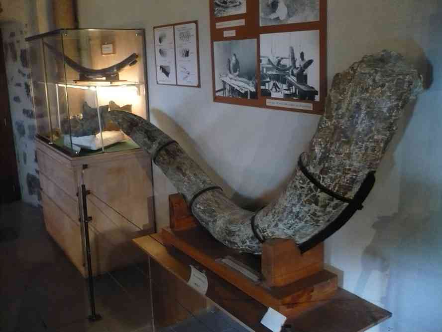 Musée de Chilhac. Le vendredi 8 mai 2009