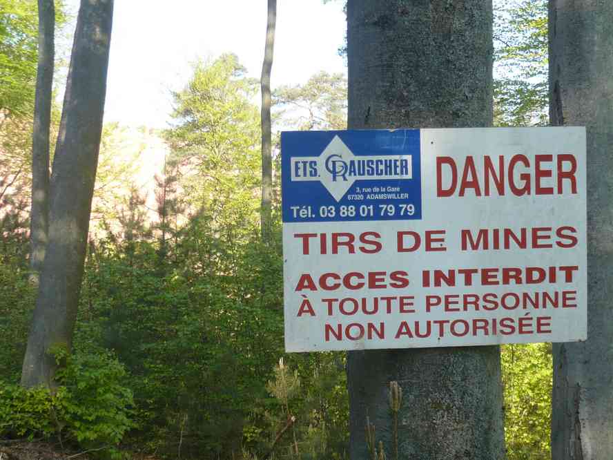 Entre Lichtenberg et Rothbach. Le lundi 25 avril 2011