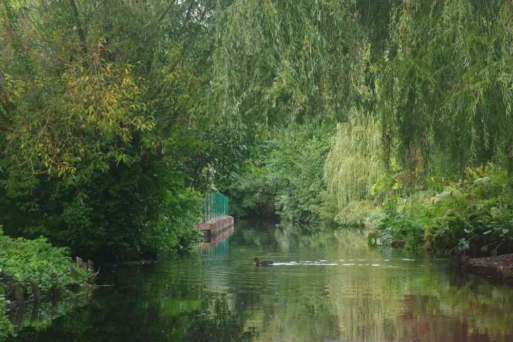 Hortillonnages d’Amiens (visite en barque). Le dimanche 14 septembre 2025
