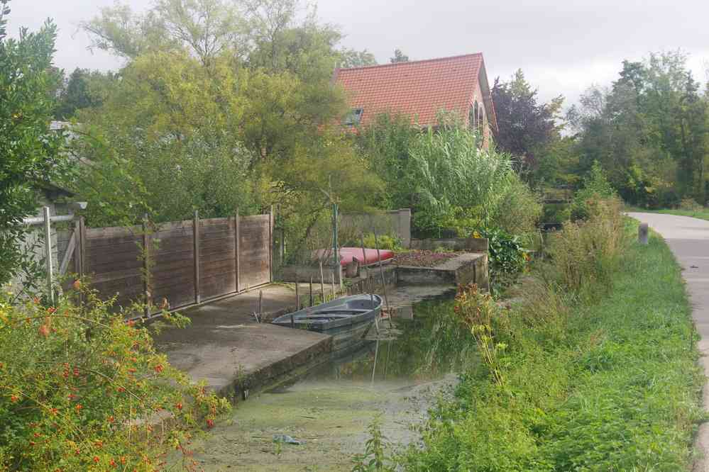 Randonnée le long de la Somme. Nous longeons les hortillonnages. Le dimanche 14 septembre 2025