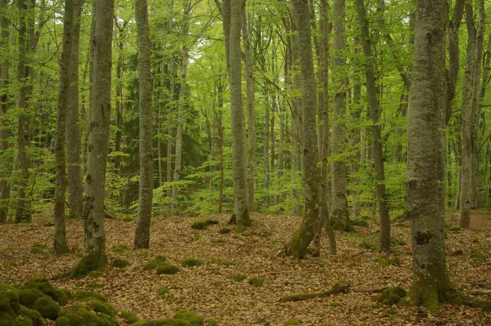 En recherchant le chemin... Le mercredi 8 mai 2013