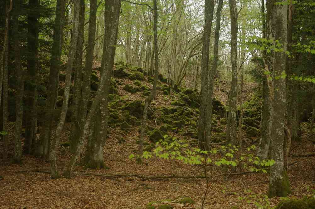 On a l’impression que la coulée avance encore... Le mercredi 8 mai 2013
