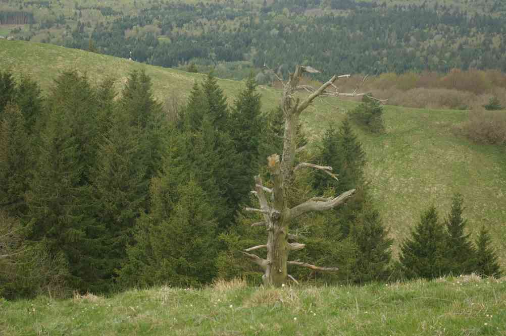 Puy de Côme. Le jeudi 9 mai 2013