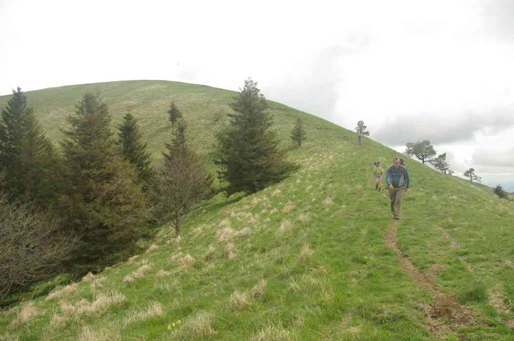 Redescendant du puy de Côme. Le jeudi 9 mai 2013