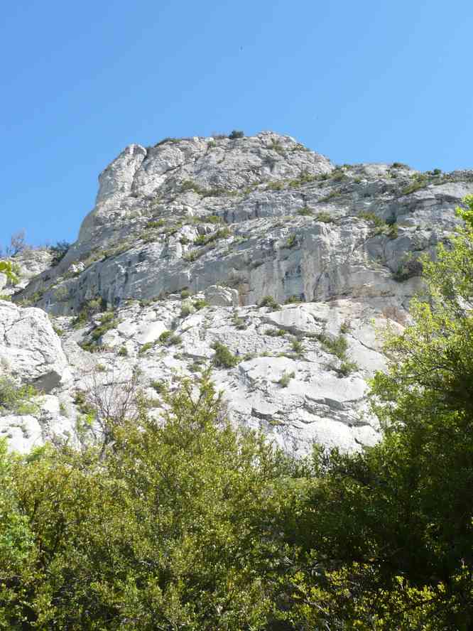 Oui oui c’est bien par là qu’on monte. Le jeudi 13 mai 2010