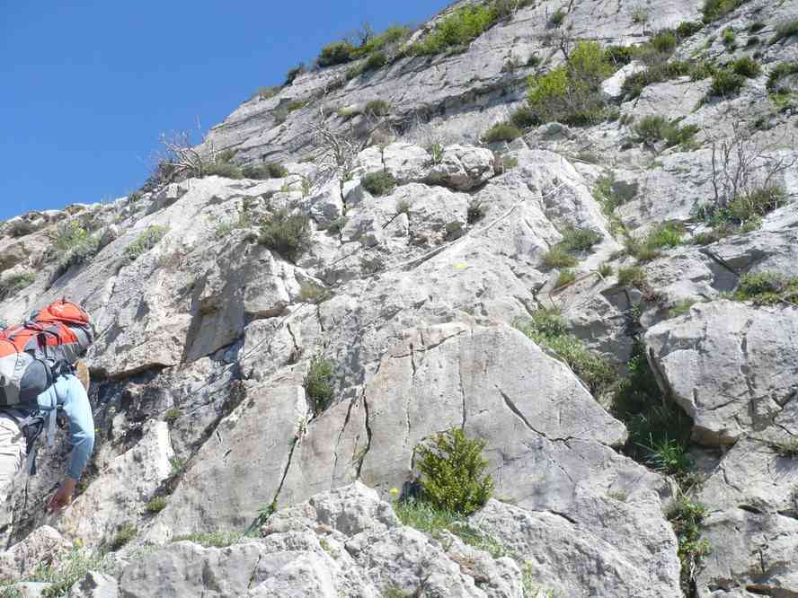 Alors qu’est-ce que vous en dites ? Le jeudi 13 mai 2010