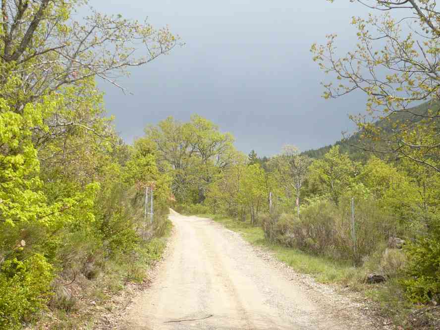 Ça se précise... Le jeudi 13 mai 2010