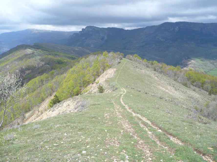 Tout à l’heure nous étions au fond, là bas. Le vendredi 14 mai 2010