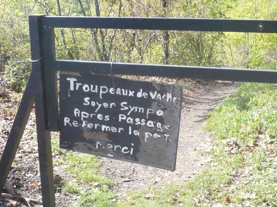 Bon on ne va pas pinailler... Le samedi 15 mai 2010