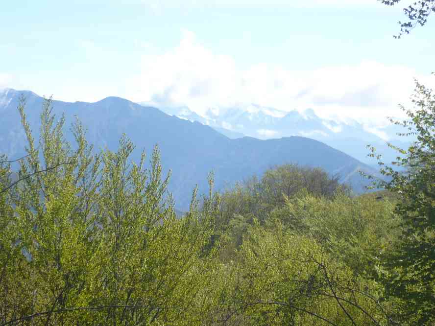 Il a quand même dû faire froid, ces jours ci. Le samedi 15 mai 2010