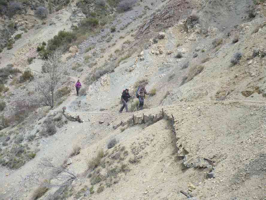 Une pensée pour Émir... Le samedi 15 mai 2010