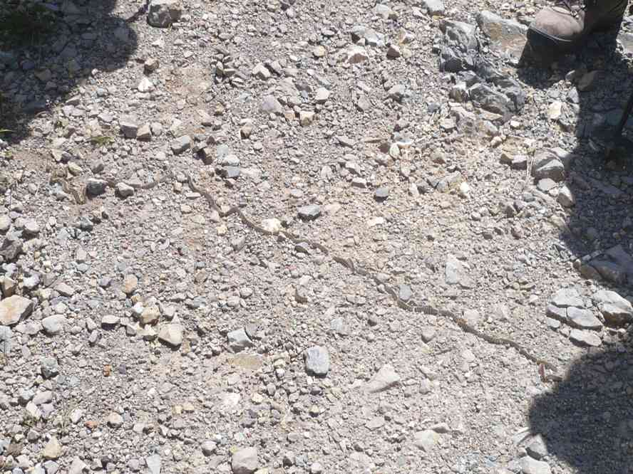 Comme quoi, on croirait pas, mais un chef ça peut parfois servir (mais non Jean-Marc, je ne disais pas ça pour toi !). Le dimanche 16 mai 2010