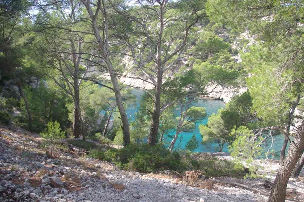 Calanque de Port-Pin. Le samedi 5 octobre 2013