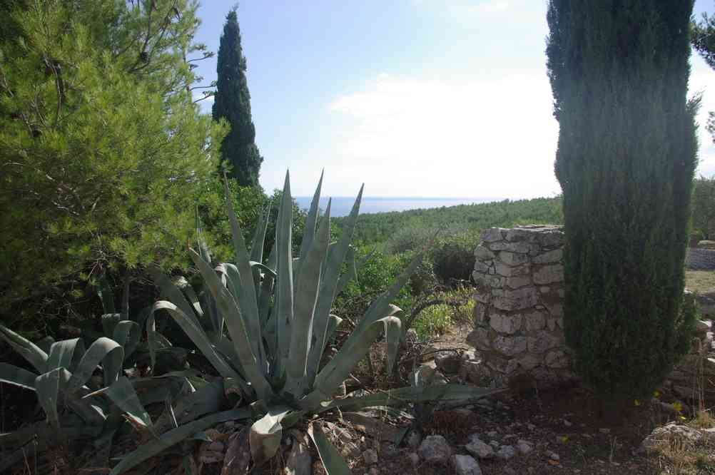 Introduits subrepticement dans l’AJ de la Fontasse. Le dimanche 6 octobre 2013