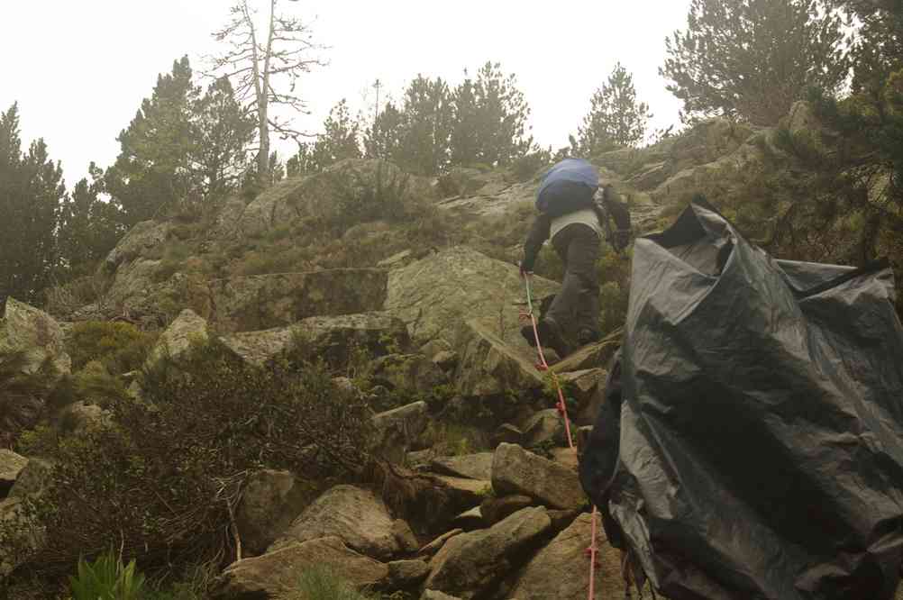 Franchement la corde, je n’ai pas compris pourquoi. Le samedi 31 mai 2014