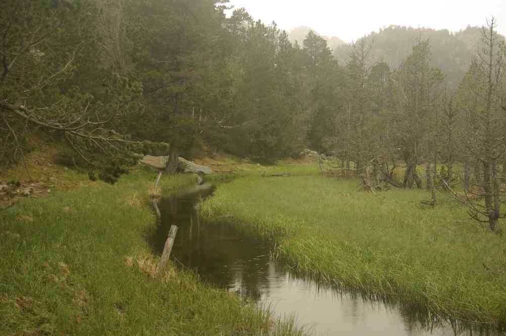 Fait beau. Le samedi 31 mai 2014