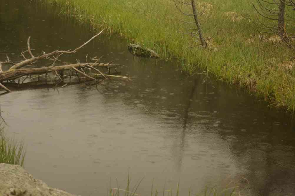 Il paraît que c’est la région la plus ensoleillée de France ! Le samedi 31 mai 2014