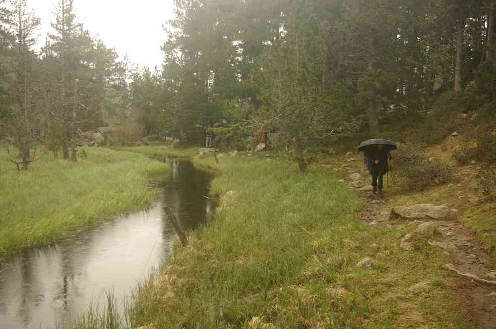 Le parapluie a servi ! Le samedi 31 mai 2014