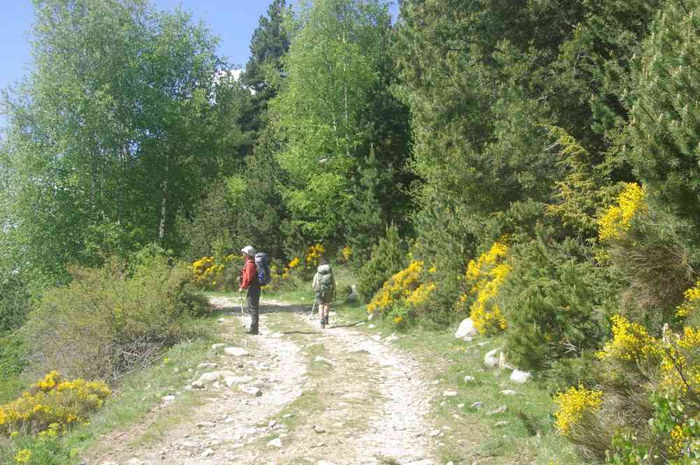 Sentier fleuri. Le dimanche 1ᵉʳ juin 2014