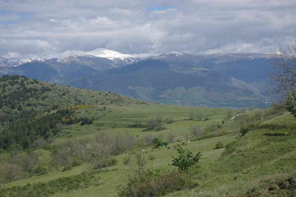 La tour de Carol c’est en bas. Le dimanche 1ᵉʳ juin 2014