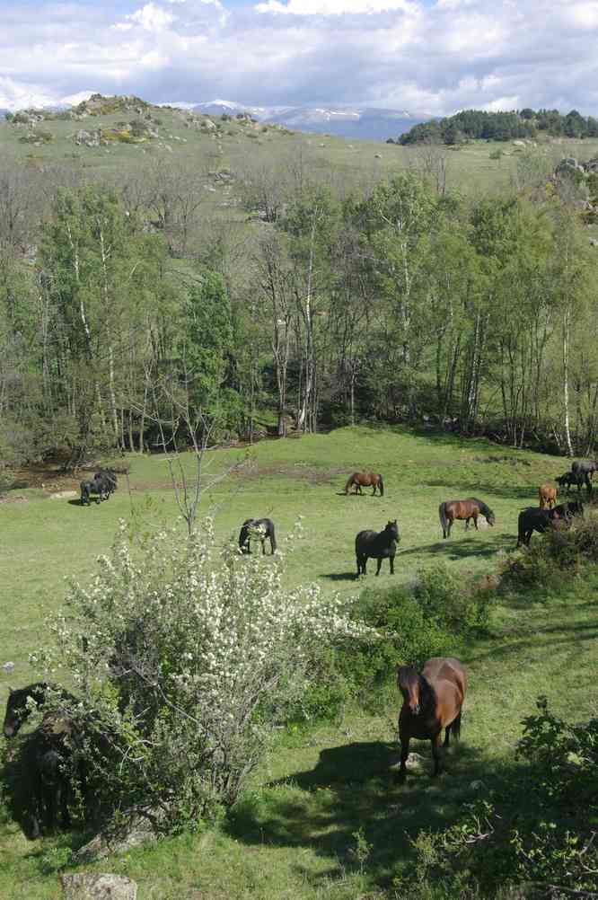 Paysage champêtre. Le dimanche 1ᵉʳ juin 2014