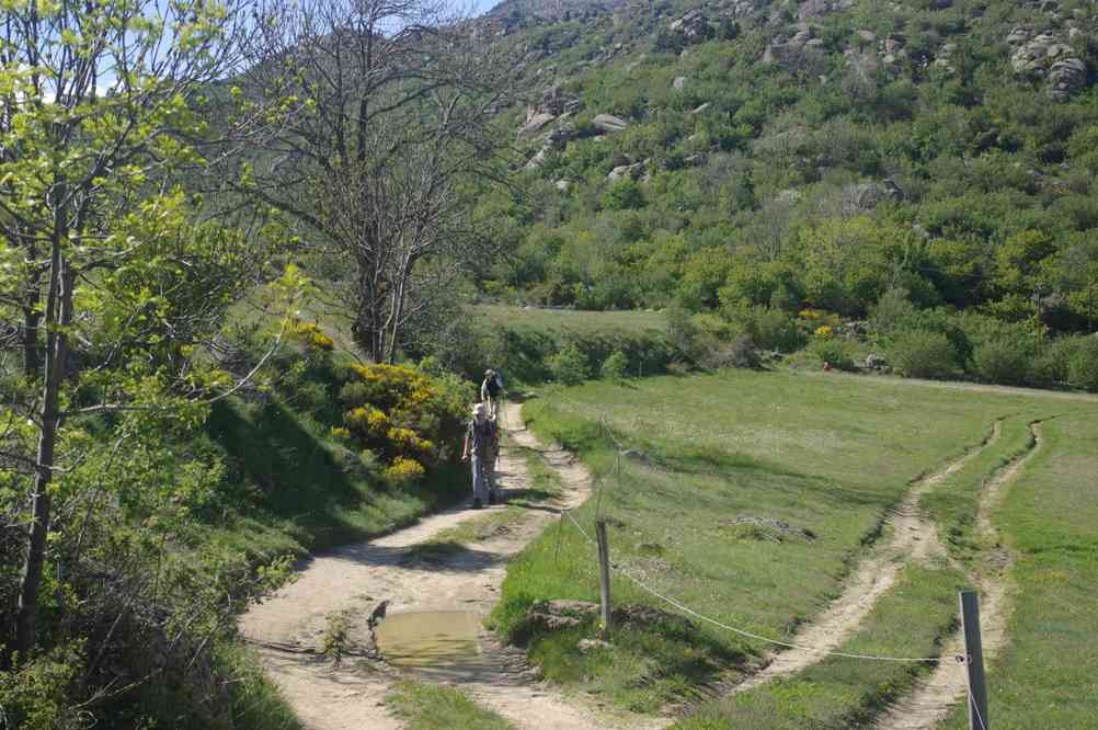 Paysage champêtre. Le dimanche 1ᵉʳ juin 2014