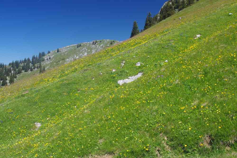 Descente de Charmant Som. Le vendredi 30 mai 2025