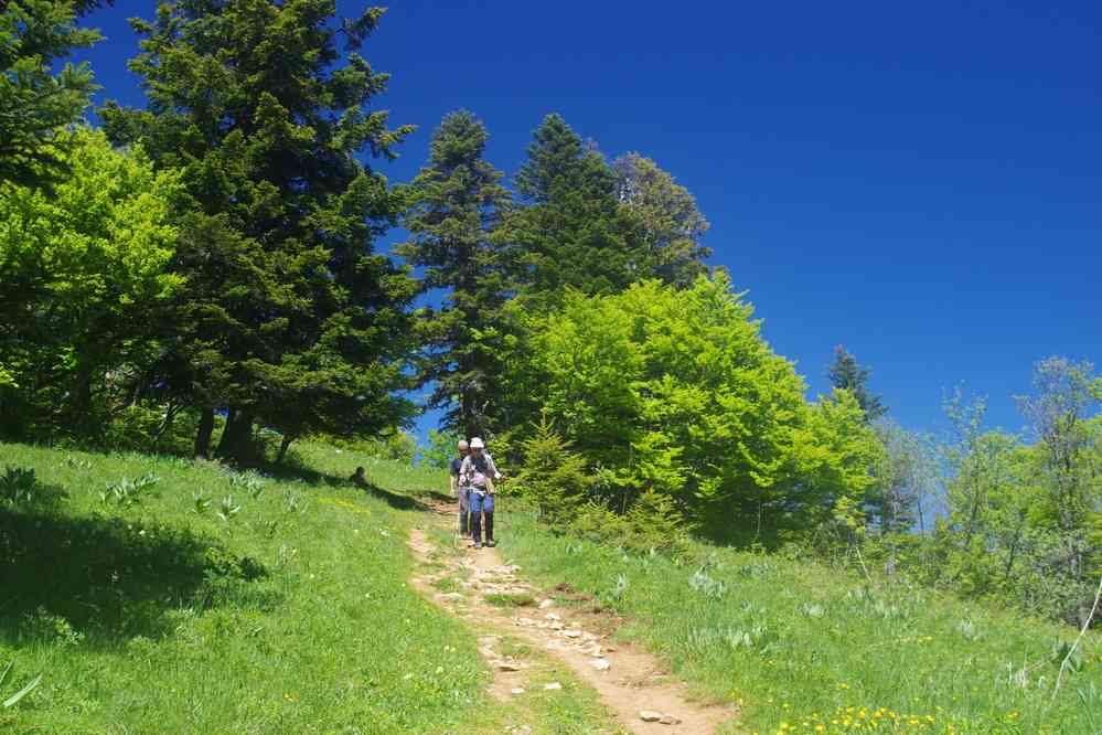 En direction de la Pinéa. Le vendredi 30 mai 2025