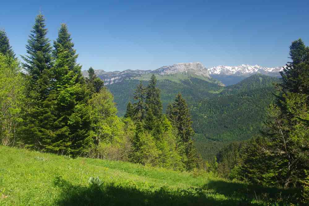 Le massif de Belledonne au fond. Le vendredi 30 mai 2025