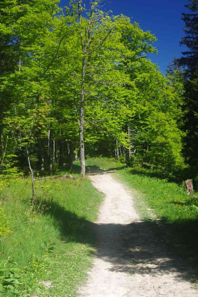 GR9. Le vendredi 30 mai 2025