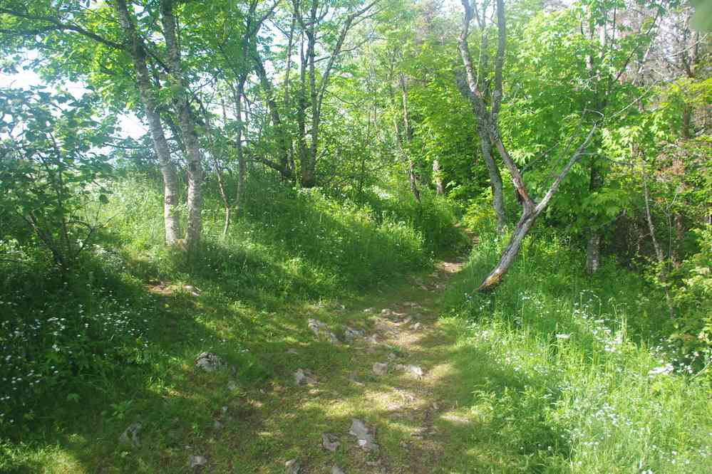 Suivant la crête du Saint-Eymard. Le dimanche 1ᵉʳ juin 2025