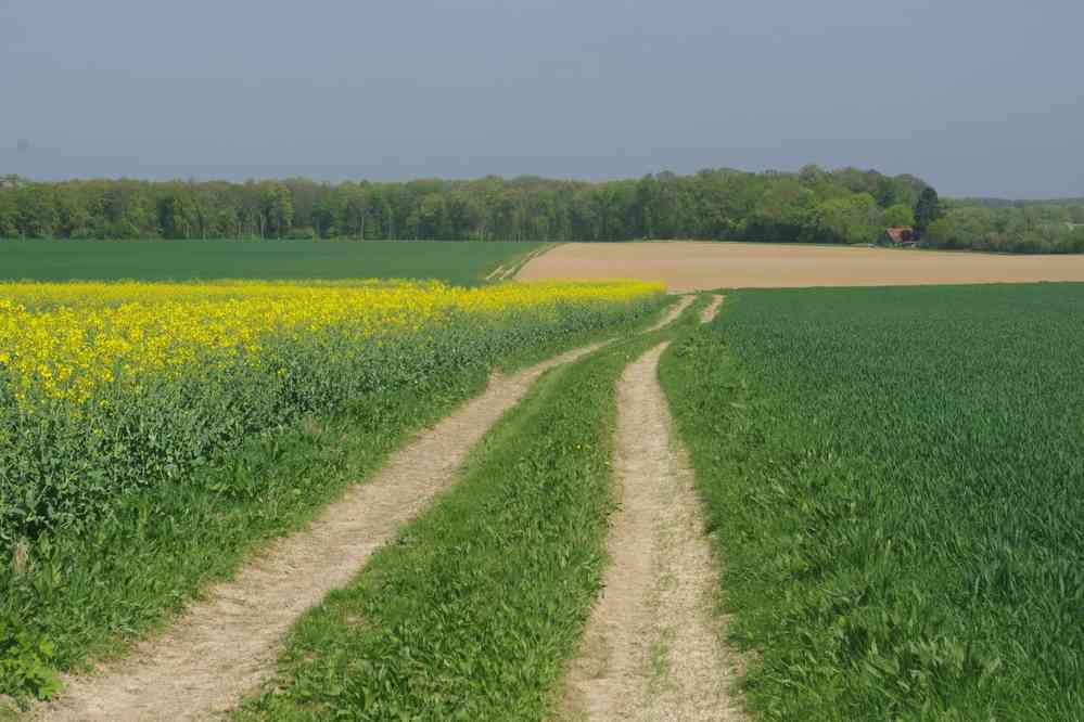 En direction de Morienval. Le samedi 21 avril 2018
