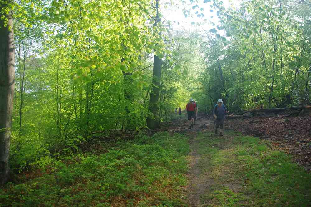 Forêt de Compiègne. Le dimanche 22 avril 2018