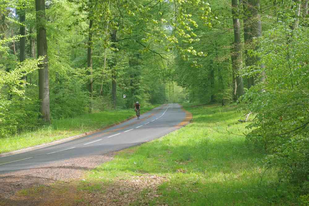 Forêt de Compiègne : près de Saint-Jean-aux-Bois. Le dimanche 22 avril 2018