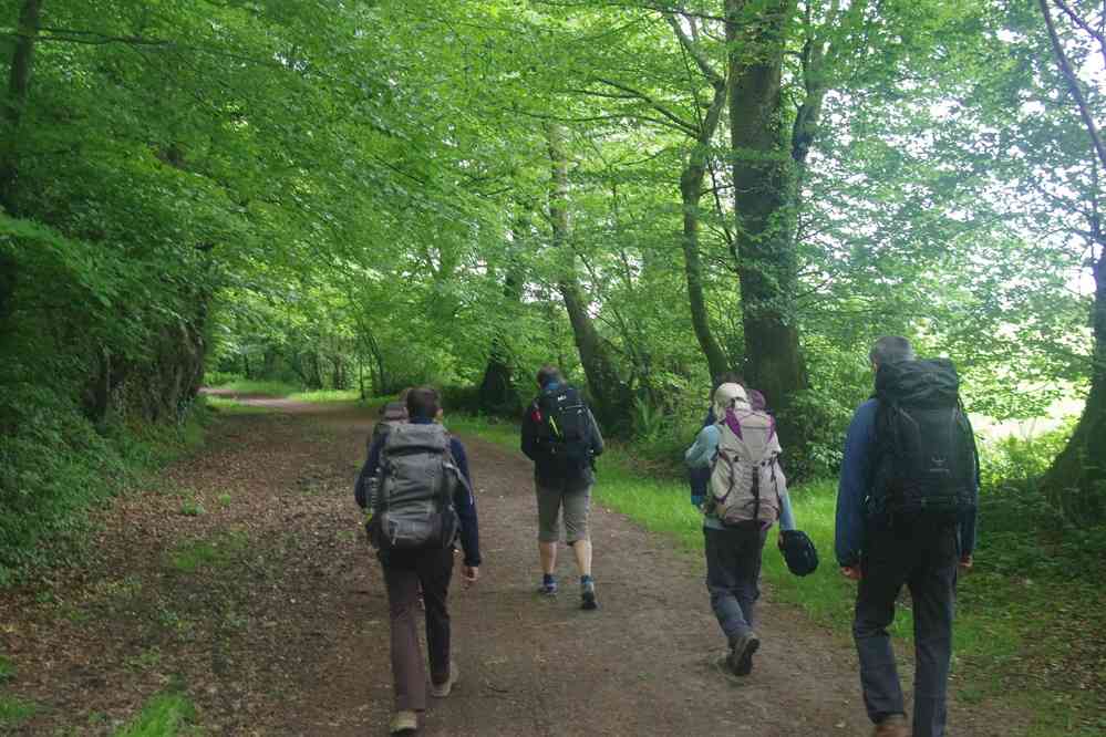 Bois du Mont du Roc. Le mercredi 29 mai 2019