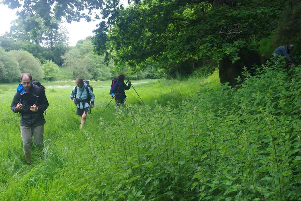 Pique-nique dans les orties (ruisseau de Trotte-Bœuf). Le mercredi 29 mai 2019