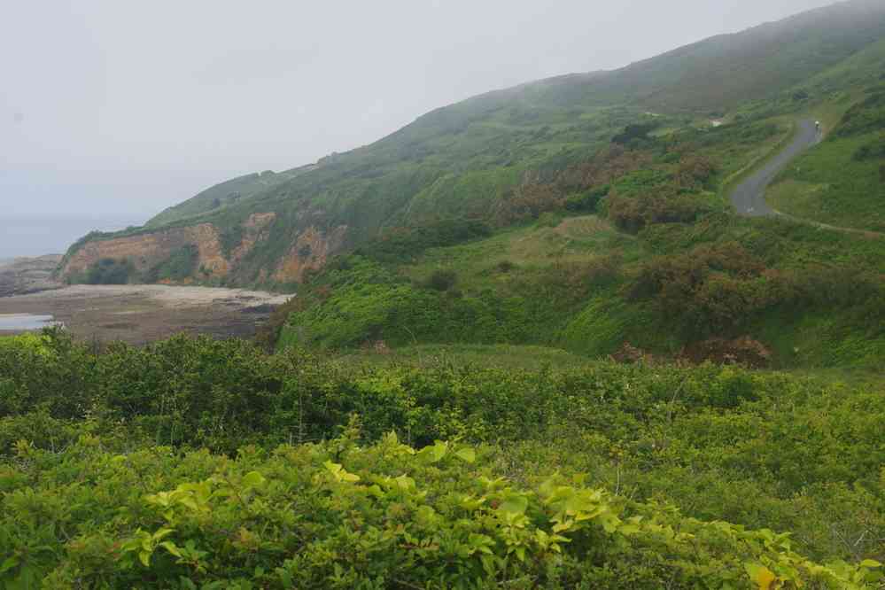Falaises de la Hague. Le vendredi 31 mai 2019