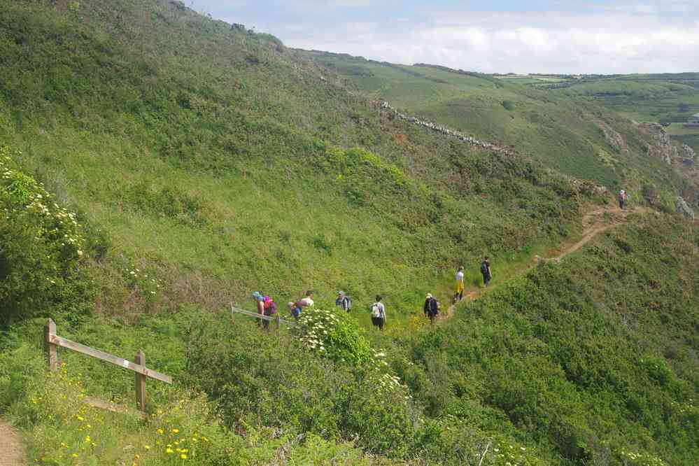 Le sentier commence à s’animer. Le vendredi 31 mai 2019