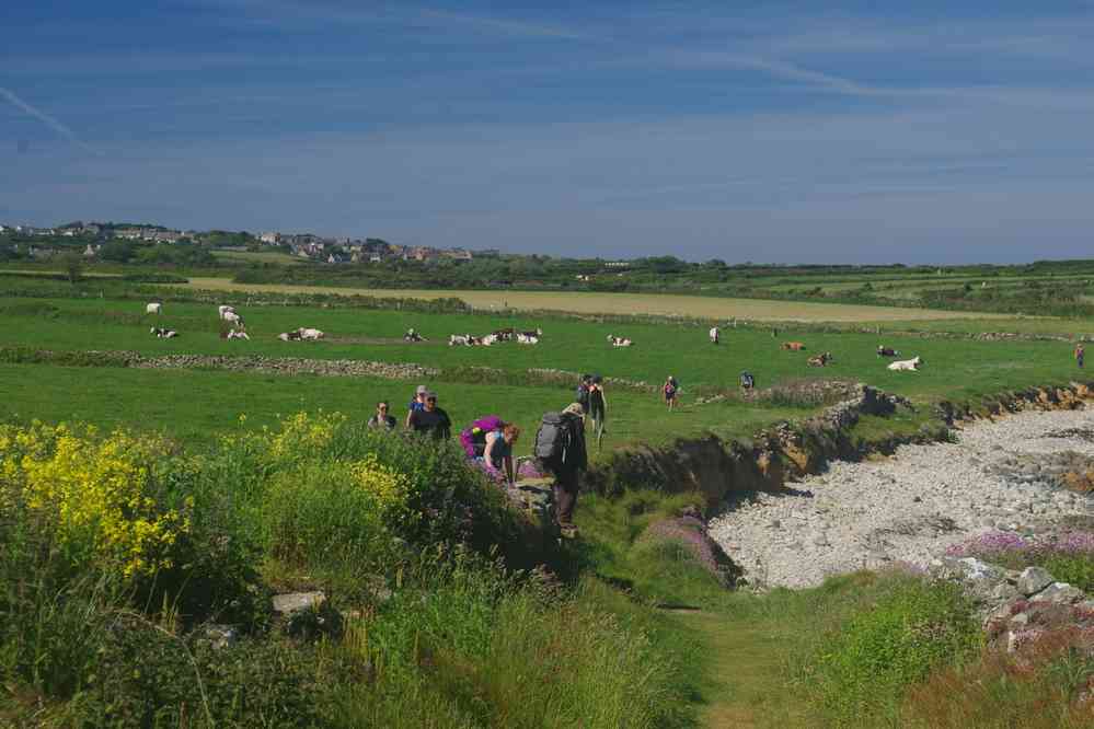 Au nord du cap de la Hague. Le samedi 1ᵉʳ juin 2019