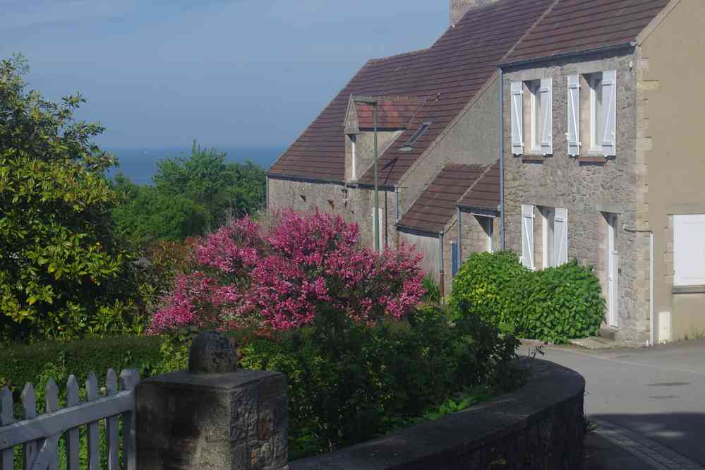 Près du gîte (hameau des Fèvres). Le samedi 1ᵉʳ juin 2019