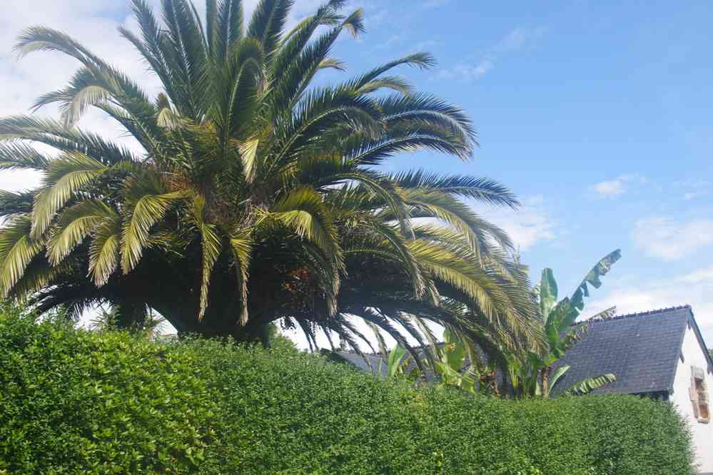 Pour un peu je finirais par croire au réchauffement climatique ! Le dimanche 2 juin 2019