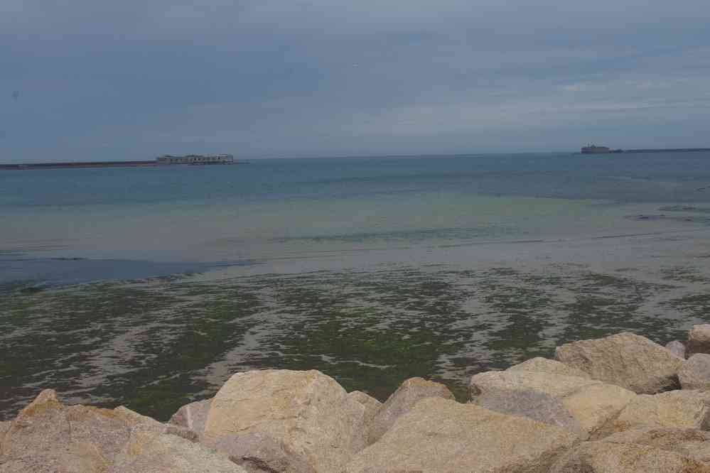 Longeant la rade de Cherbourg : un peu monotone mais nécessaire. Le dimanche 2 juin 2019