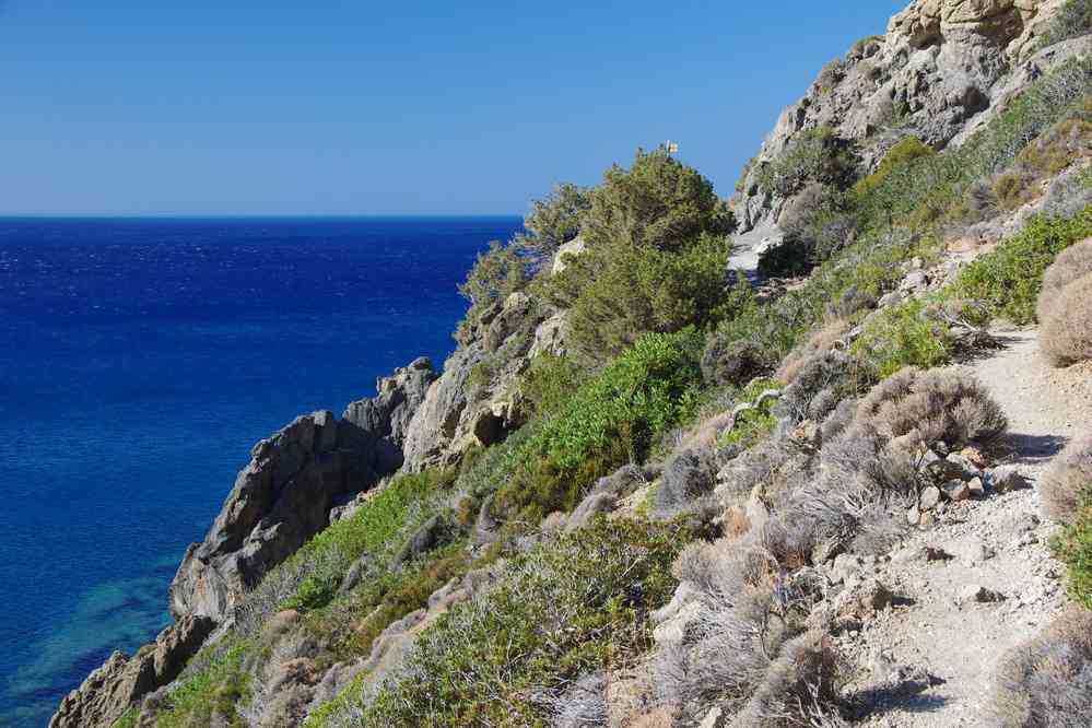 Sentier sauvage en bord de côte. Le mercredi 13 août 2014