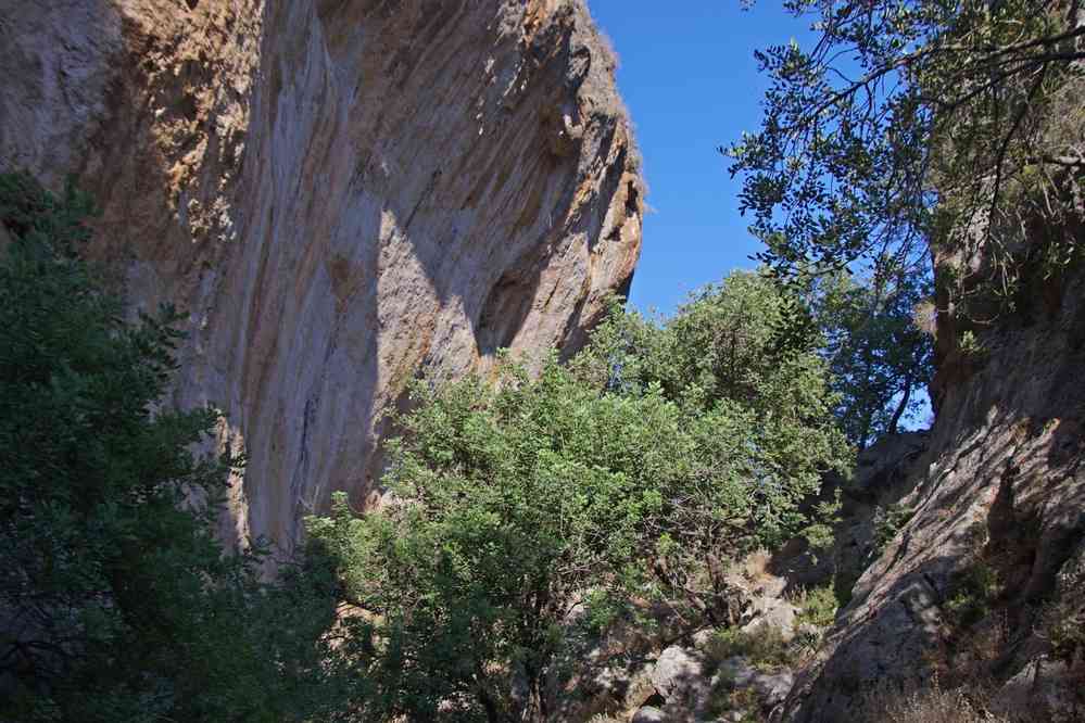 Cañon en arrivant à Sougia (Σούγια). Le mercredi 13 août 2014