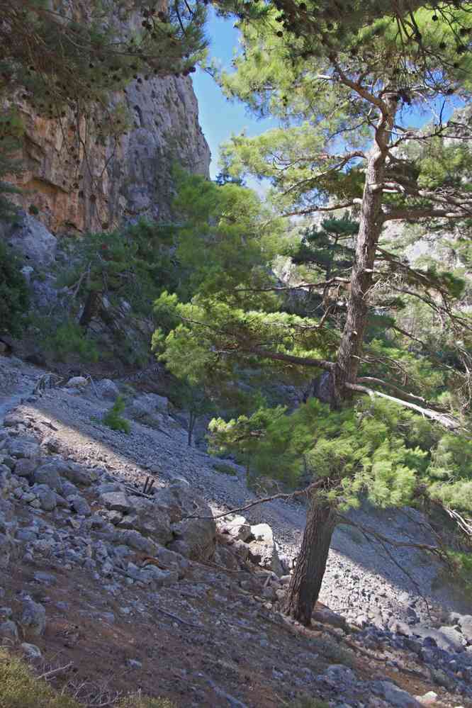 Gorges d’Agia Irini (Άγια Ειρήνη). Le jeudi 14 août 2014