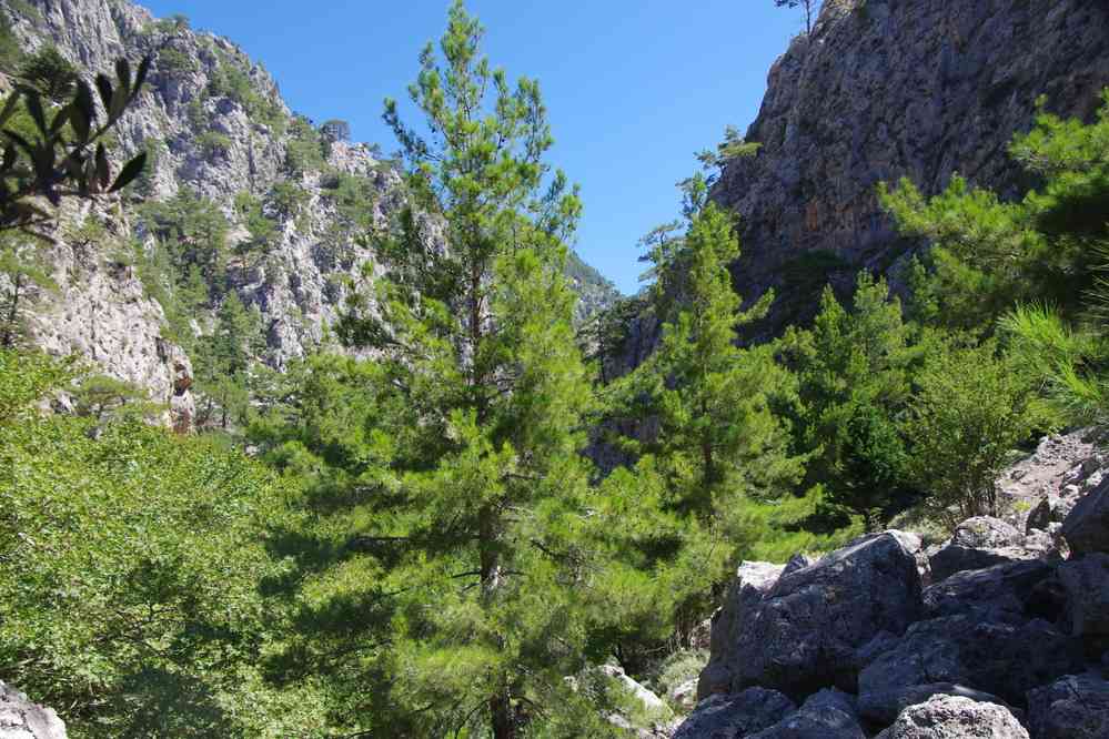 Gorges d’Agia Irini (Άγια Ειρήνη). Le jeudi 14 août 2014