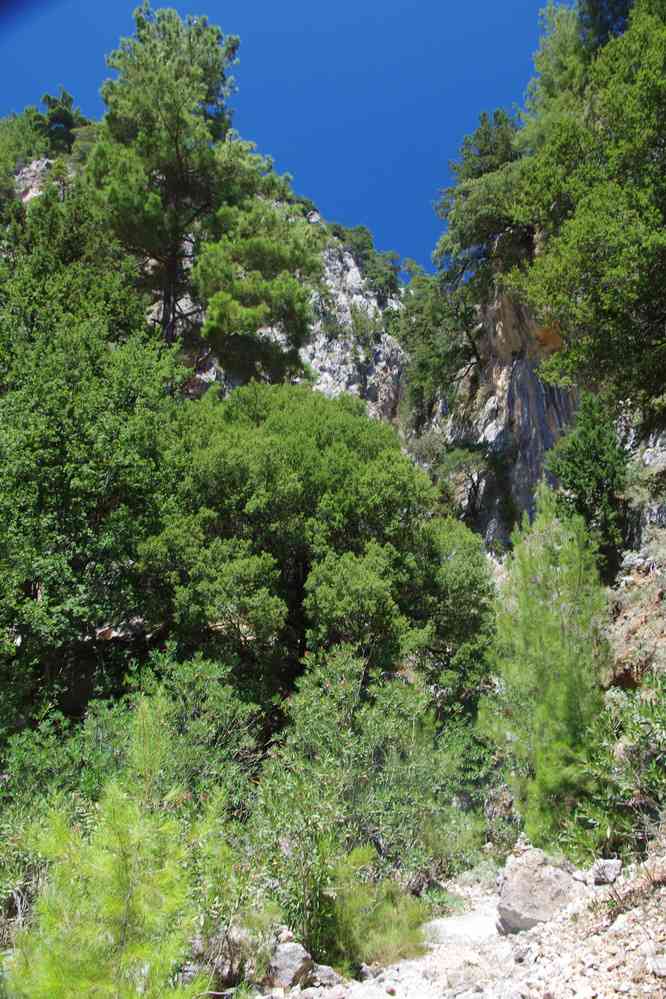 Sortie par la gorge de Figou (Φυγού). Le jeudi 14 août 2014