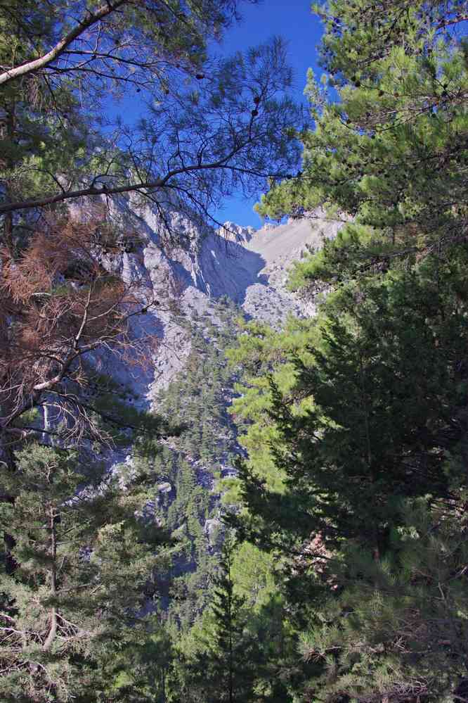 Descente dans les gorges de Samaria (Φαράγγι Σαμαριάς). Le vendredi 15 août 2014